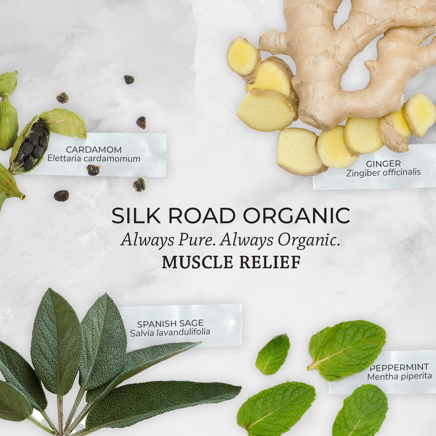 Silk Road Organic Muscle Relief Roller – USDA Organic Peppermint & Ginger 10 ml