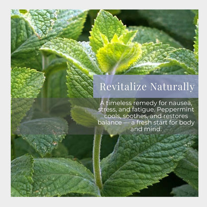 Silk Road Organic Peppermint Essential Oil Roll-On – USDA Certified, 10 ml
