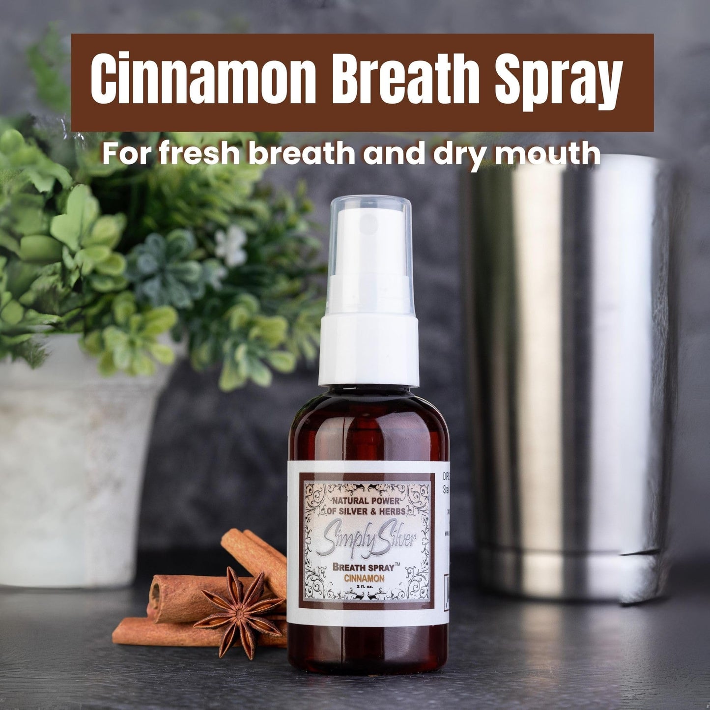 Simply Silver Cinnamon Breath Spray - Dry Mouth Relief, All Natural, Fluoride Free | 2 Fl Oz