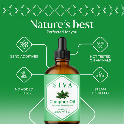 Siva Camphor Essential Oil - 4 Fl Oz | 100% Natural Camphor Oil with Dropper for Diffuser, Skin, Hair & Aromatherapy