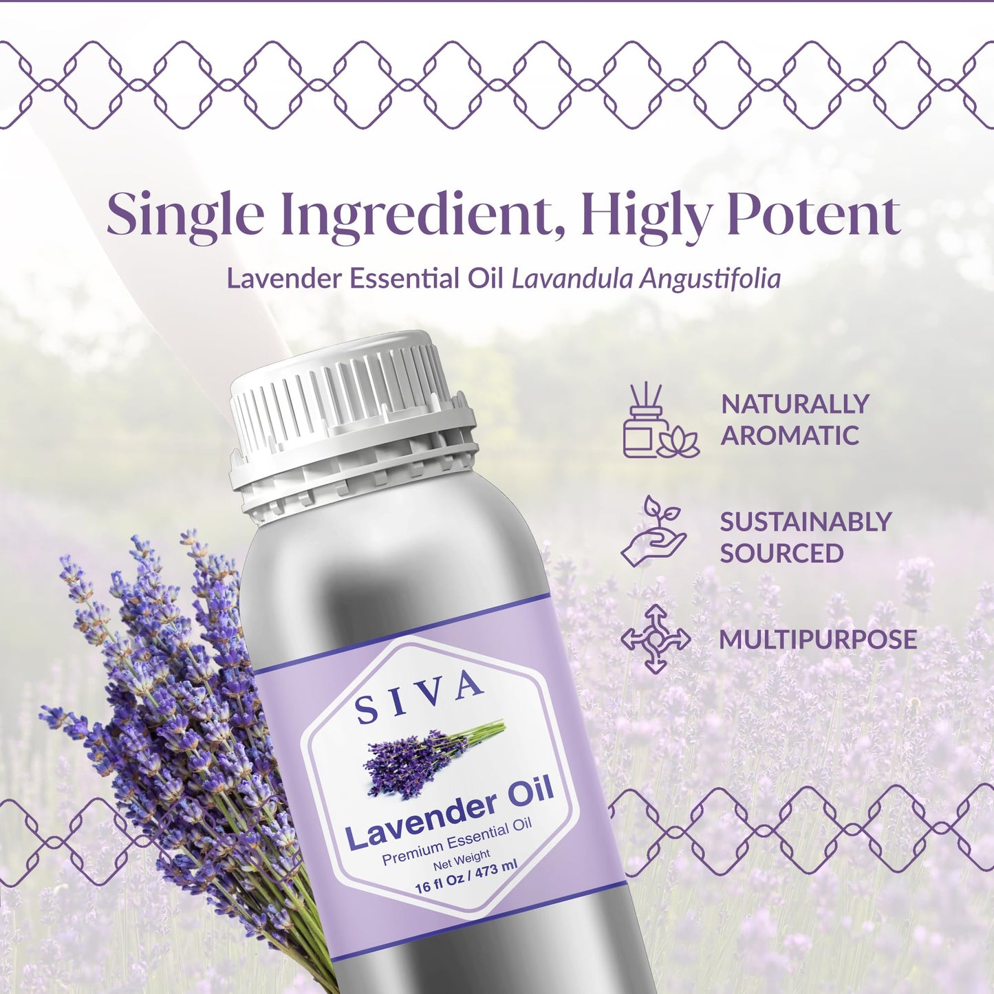 Siva Lavender Essential Oil 16 Oz – 100% Natural | Diffuser, Skin & Hair Care