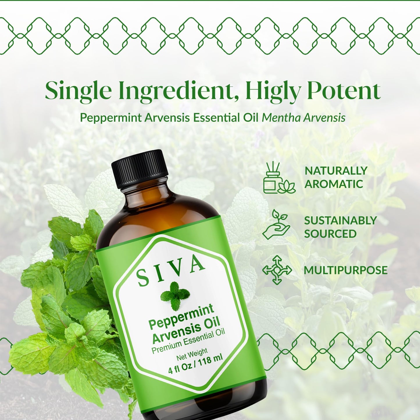 Siva Peppermint Arvensis Essential Oil - 4 Oz - 100% Natural - Diffuser, Skin & Hair Care