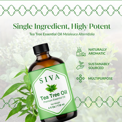 Siva Tea Tree Essential Oil - 4 oz | 100% Natural, Diffuser & Skincare