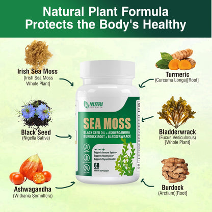 Irish Sea Moss Capsules with Black Seed Oil, Ashwagandha & Ginger – 16-in-1 Immune, Joint & Gut Support (60 Capsules)