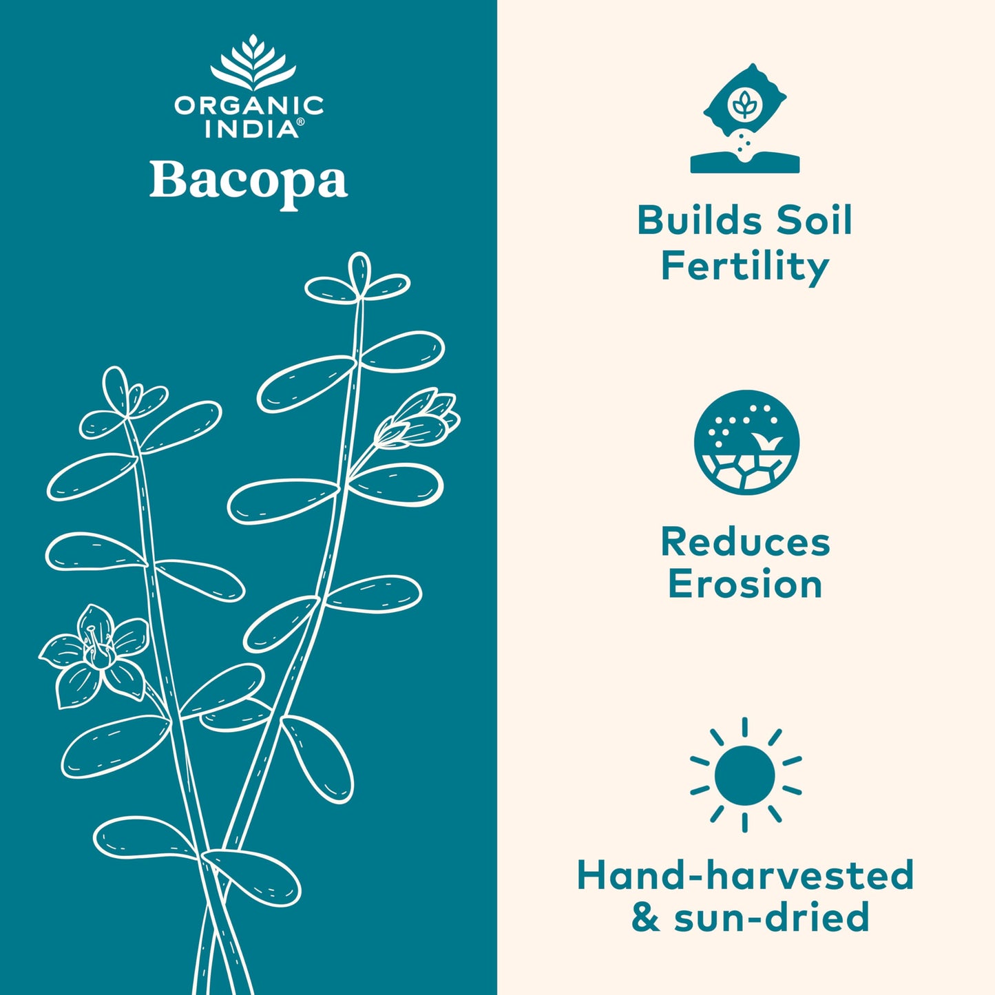 Organic India Bacopa Monnieri – Brain, Memory & Focus | 60 Vegan Capsules