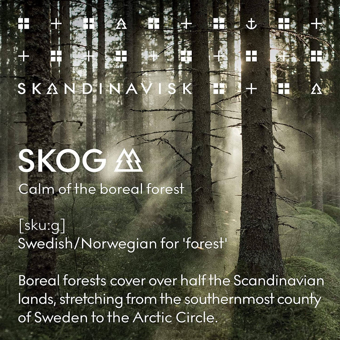 Skandinavisk Skog Forest Diffuser – 8 Reeds, 3 Months, Pine & Birch 6.75 fl oz