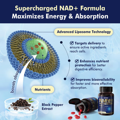 NMNH Liposomal 500mg NAD+ – Next-Gen NMN/NAD+ Supplement for Cellular Energy & Healthy Aging