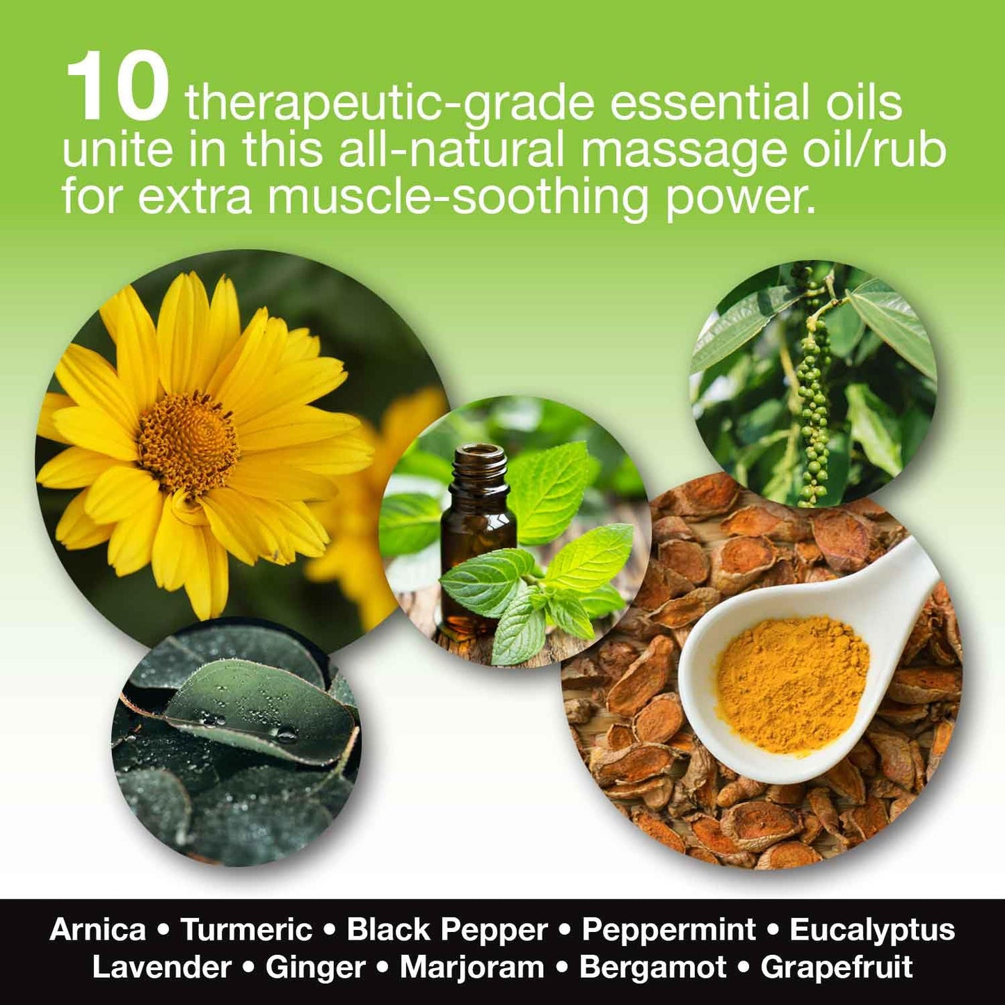 Skinsations Hemp Massage Oil & Sore Muscle Rub – Organic, 10 Essential Oils