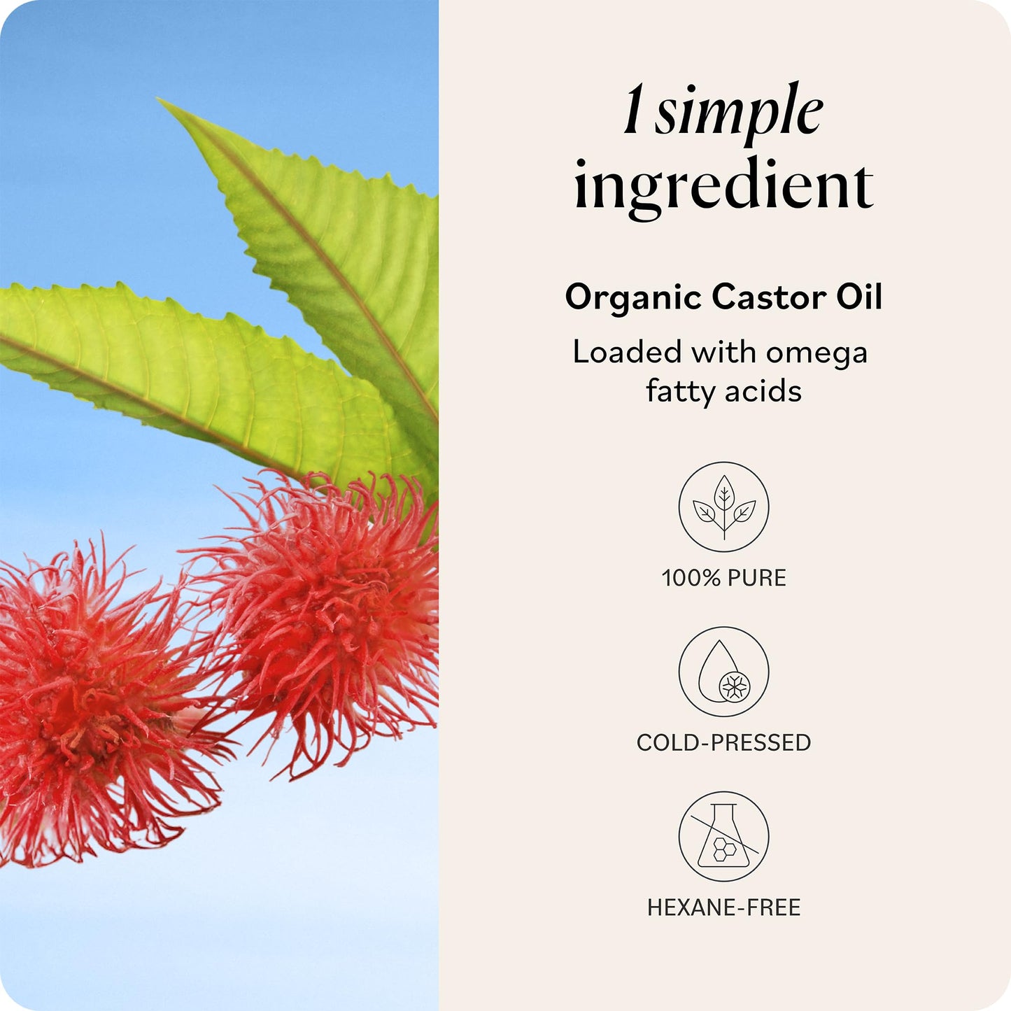 Sky Organics Castor Oil - USDA Organic Hair Growth Oil, Skin & Lashes - Cold-Pressed 16oz