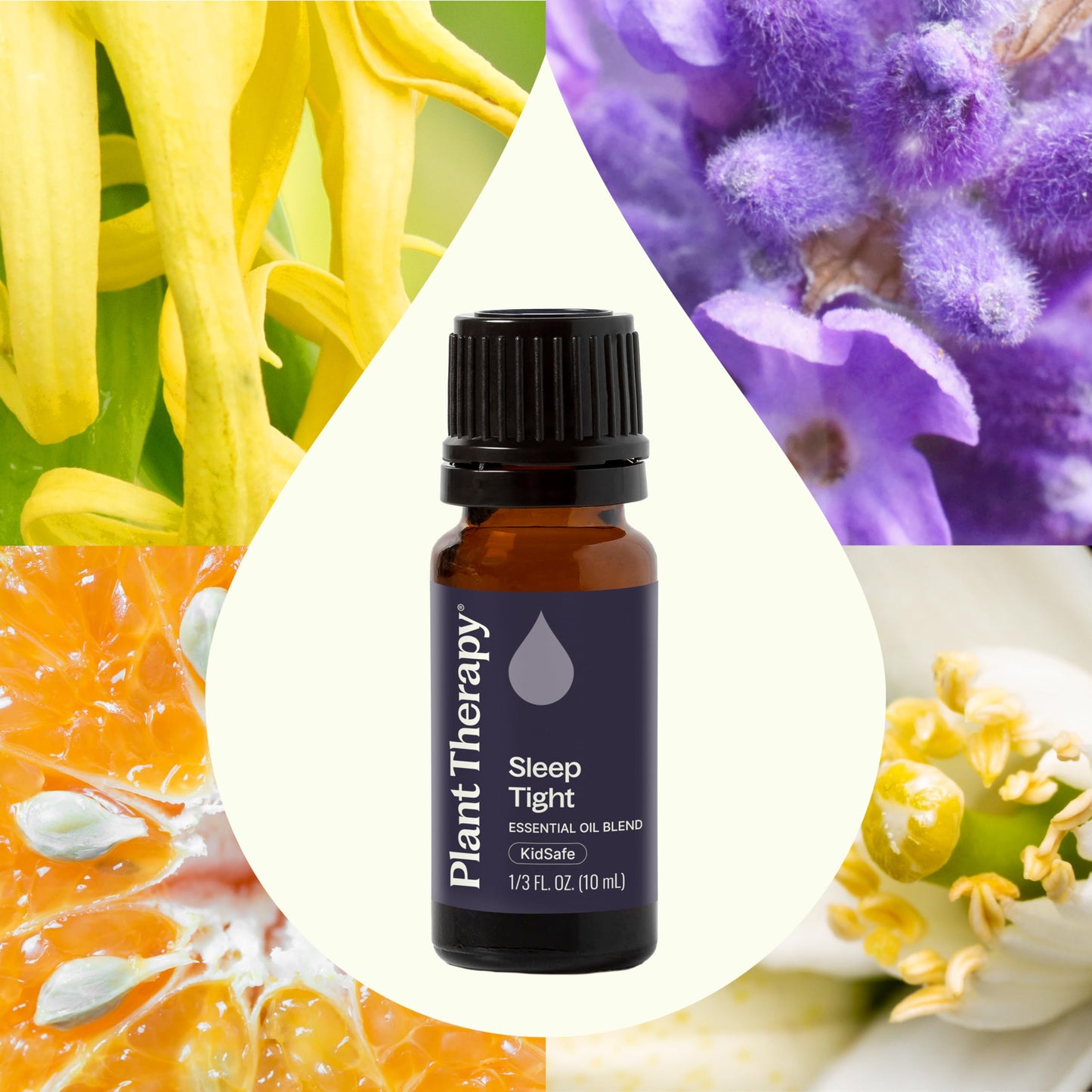 Plant Therapy Sleep Tight Essential Oil Blend 10 mL (1/3 oz) – 100% Pure, Undiluted, Therapeutic Grade