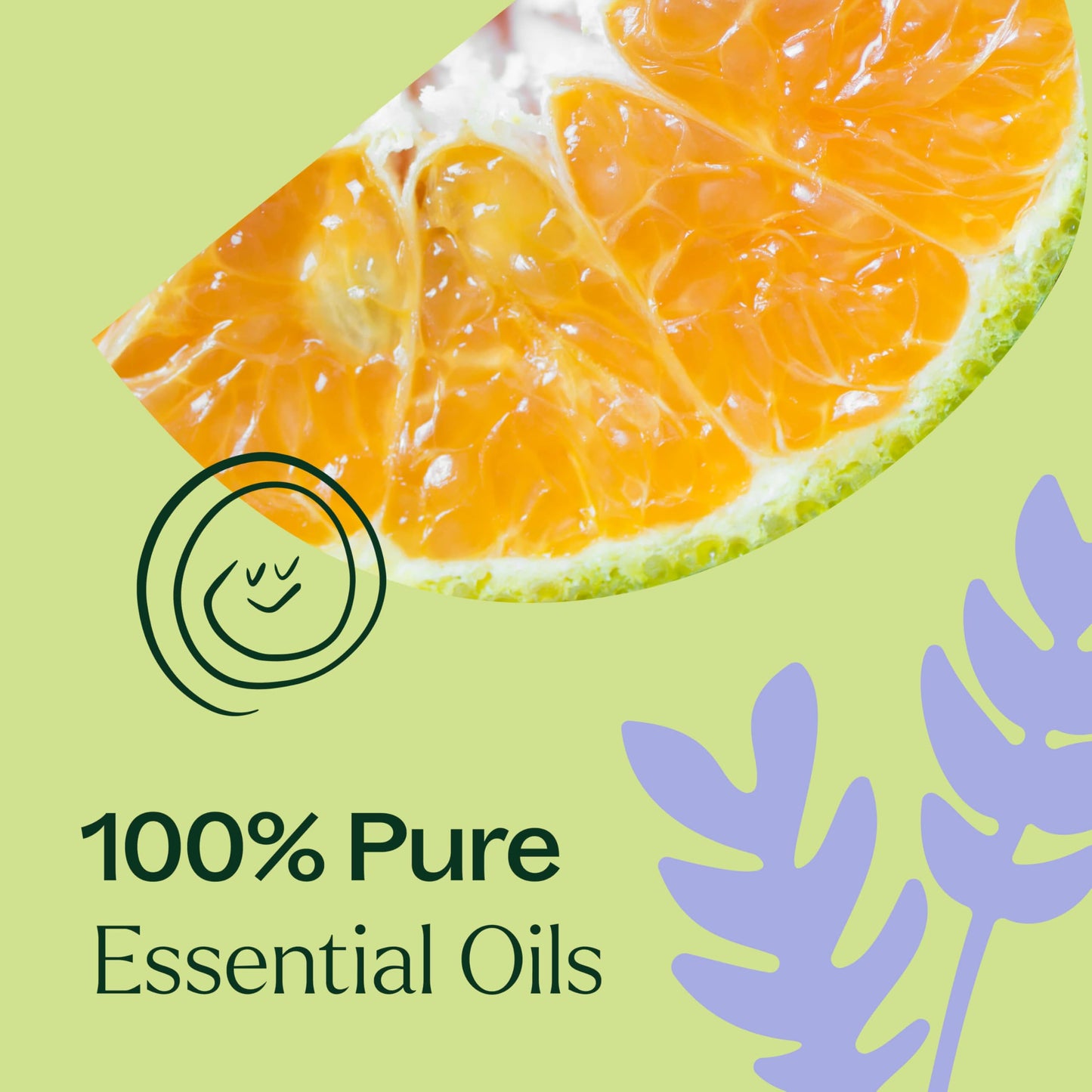 Plant Therapy Sleep Tight Essential Oil Blend 10 mL (1/3 oz) – 100% Pure, Undiluted, Therapeutic Grade