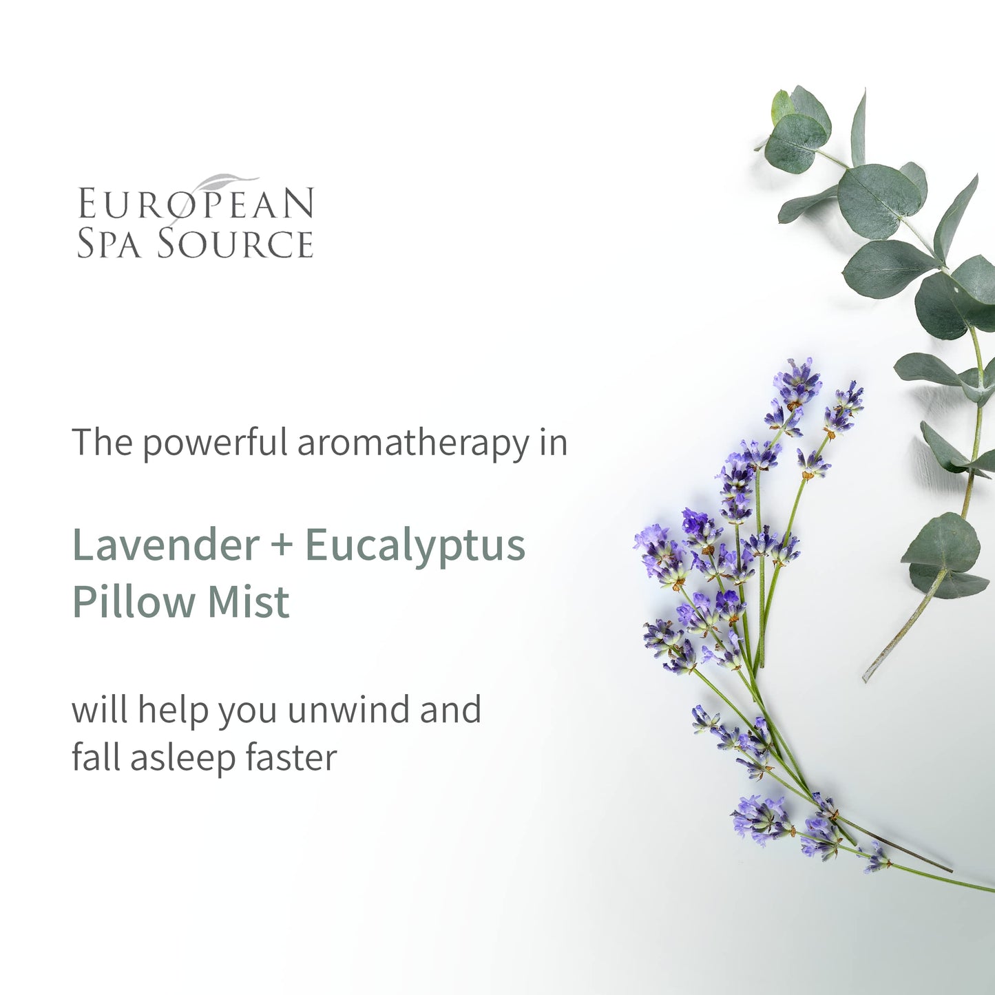 Sleep Well Eucalyptus + Lavender Pillow Mist – 4 fl oz | European Spa Source