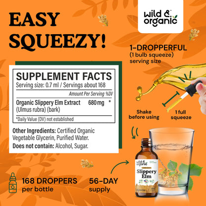 Wild & Organic Slippery Elm Liquid Drops - Lung, Digestive & Women's Support - Slippery Elm Bark Extract Tincture - Ulmus Rubra Supplement - Vegan, Sugar & Alcohol-Free - 4 fl oz