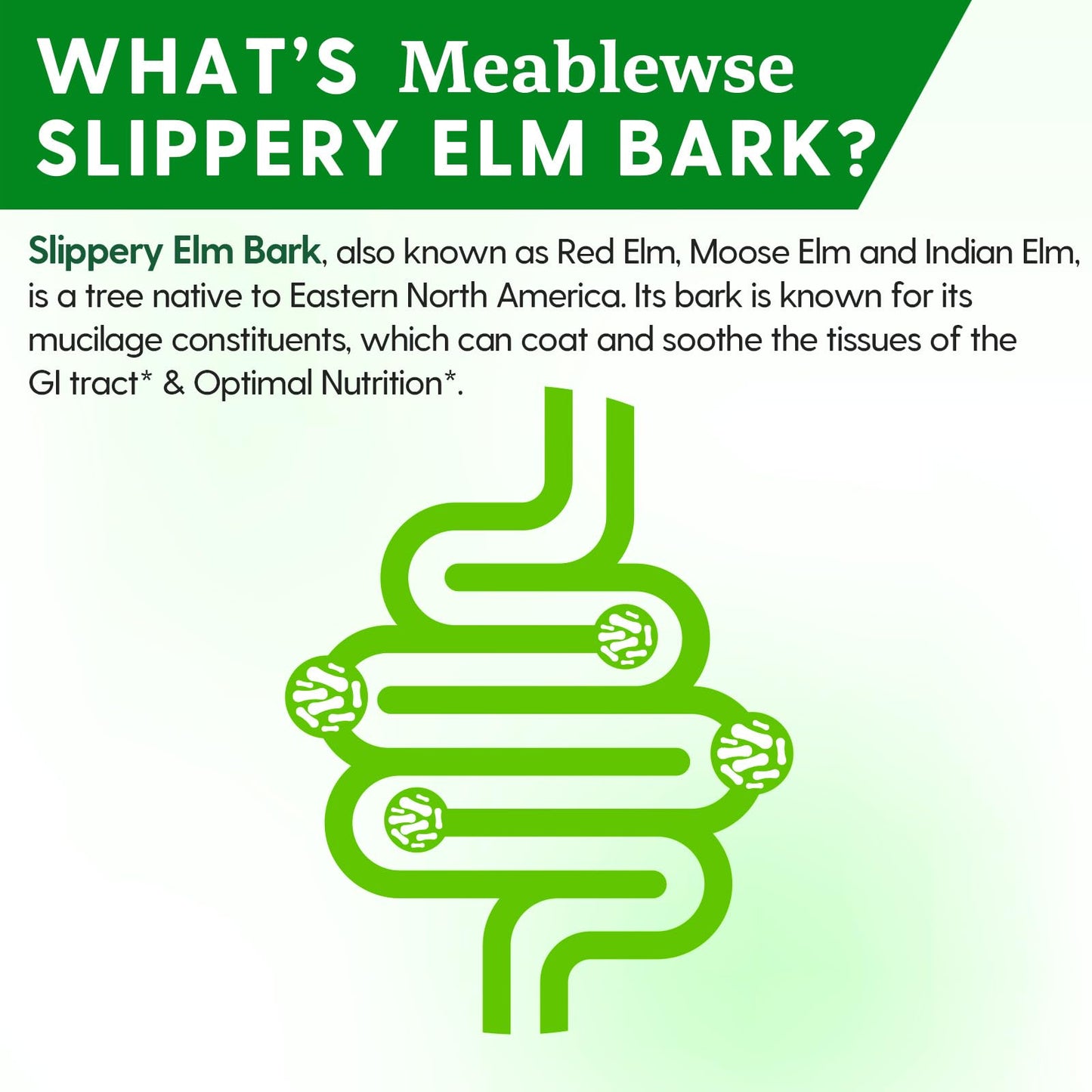 Slippery Elm Powder – Pure Inner Bark, 1lb (349 Servings) for Throat & Digestive Health, Vegan & Non-GMO