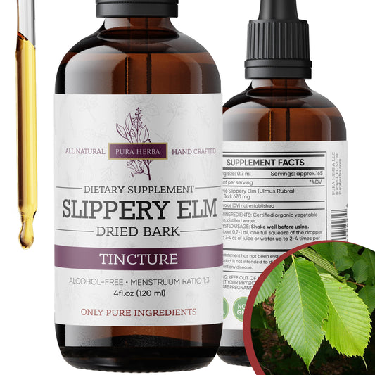 Slippery Elm Tincture - Alcohol-Free (4 oz) | Ulmus rubra Liquid Extract | Digestive & Throat Support BritishVita | Premium UK Vitamins & Wellness Supplements