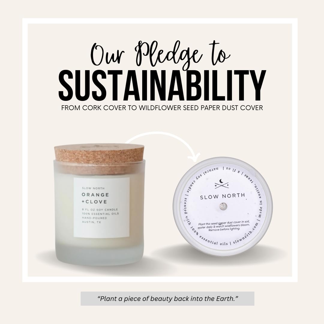 Slow North Orange + Clove Candle | Pure Soy Wax, Essential Oils, Reusable Frosted Glass Jar, Hand-Poured in the USA (8 oz)