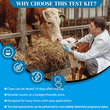 2-Pack Cow Pregnancy Test Kit — Fast Urine Test for Early Detection (5–10 Minutes)