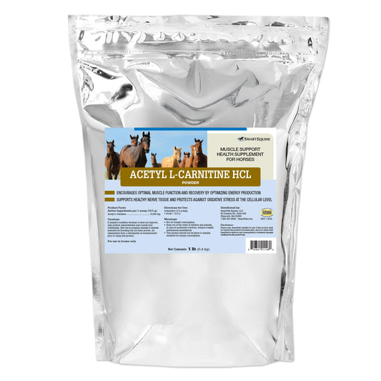 SmartEquine Acetyl L-Carnitine HCL Powder – Horse Energy & Muscle BritishVita | Premium UK Vitamins & Wellness Supplements