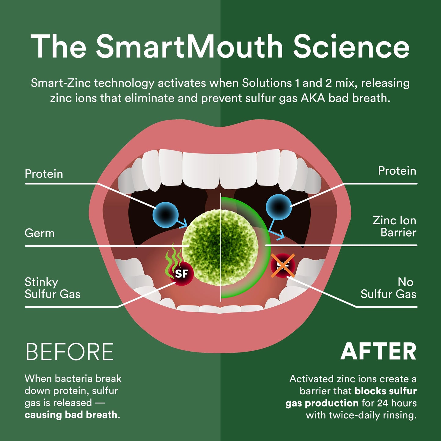 SmartMouth DDS Activated Clinical Mouthwash with Tongue Cleaner – Fresh Breath, Gum Health (16 oz x2)