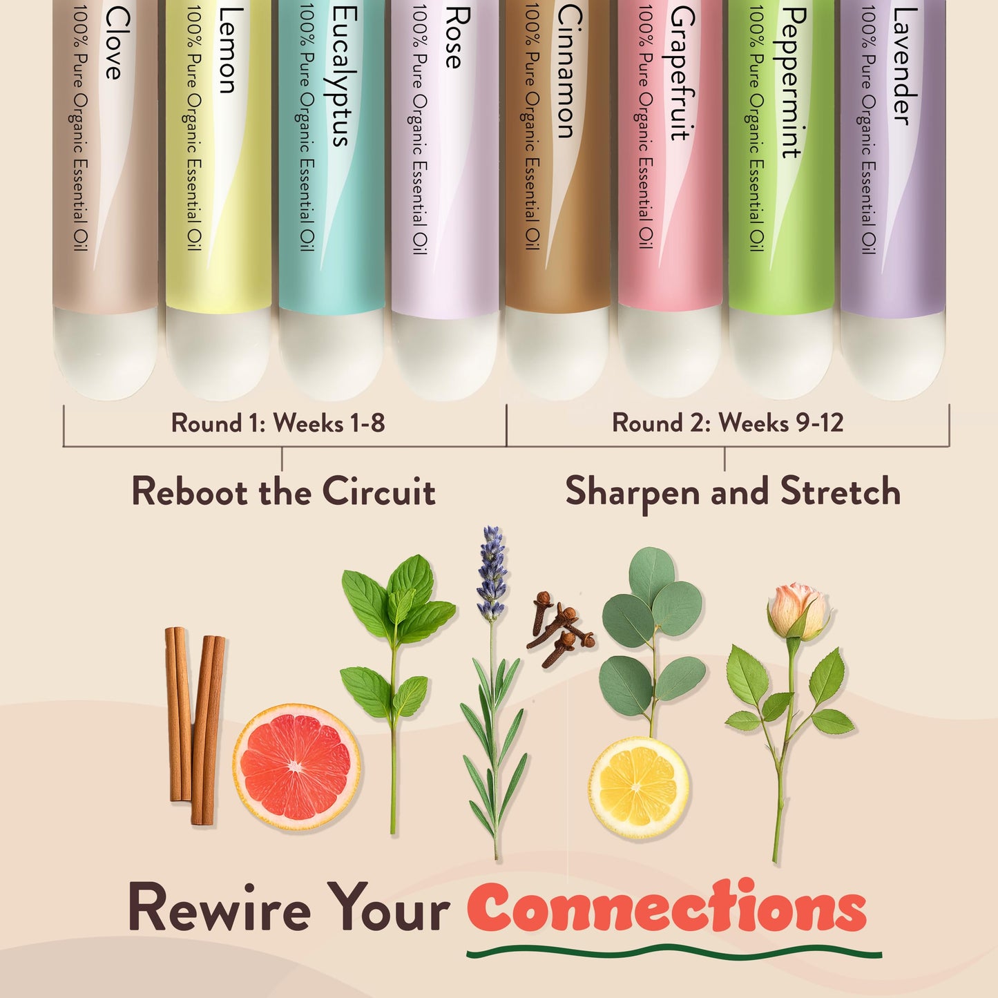 Smell Training Kit - Restore Sense of Smell & Taste | 8 Scents | Made in USA