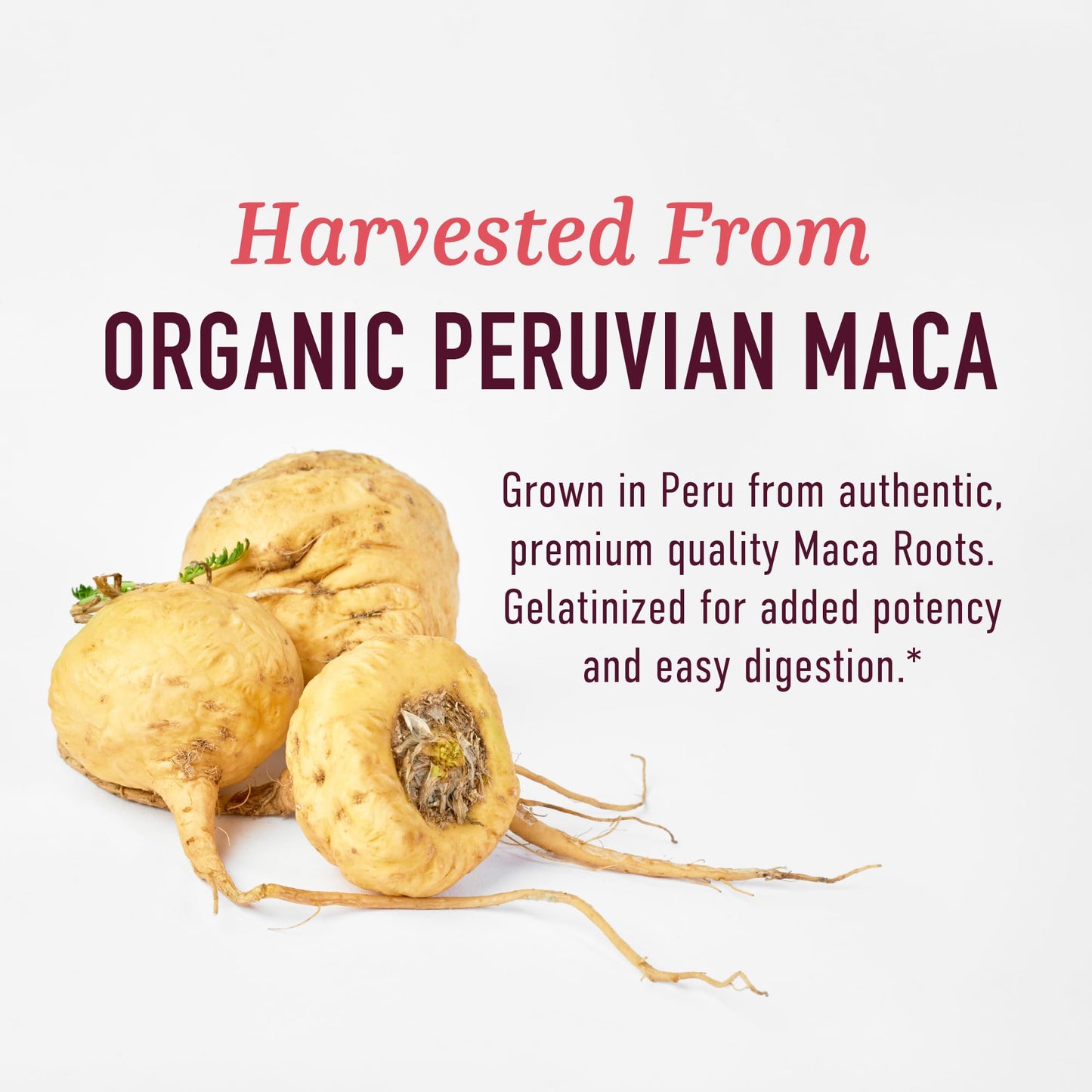 SMNutrition Organic Maca Root Capsules for Women | 2250MG Extra Strength Peruvian Maca + Black Pepper | 120 Ct