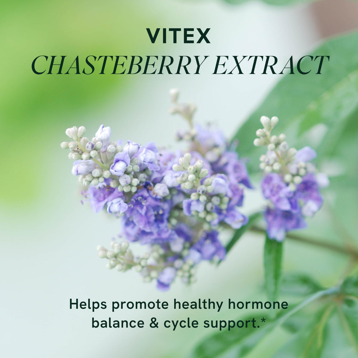 Vitex Chasteberry 600mg | Hormone Balance, Menopause & Regular Cycles | SMNutrition 90 Capsules mythriftymom