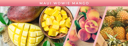 Smoke Odor Exterminator 13oz Jar Candle, Maui Wowie Mango