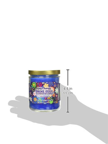 Smoke Odor Exterminator 13oz Jar Candle Nag Champa - Eliminates Odors