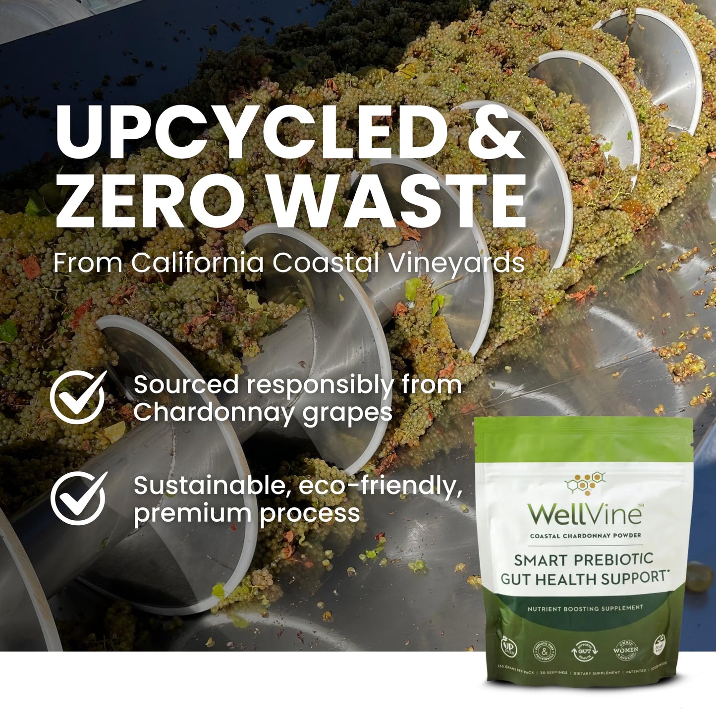 WellVine Premium Smart Prebiotic Gut Health Supplement Powder for Men & Women | Digestive Support & Gut Health With 100% Upcycled Chardonnay Grapes | Plant-Based, Gluten and Allergen-Free | 4.75Oz