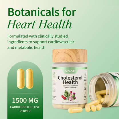Snap Supplements Cholesterol Health - Natural Support for Heart, Liver, Digestive and Metabolic Health, 60 Vegetarian Capsules (30 Servings, 1 Month Supply)