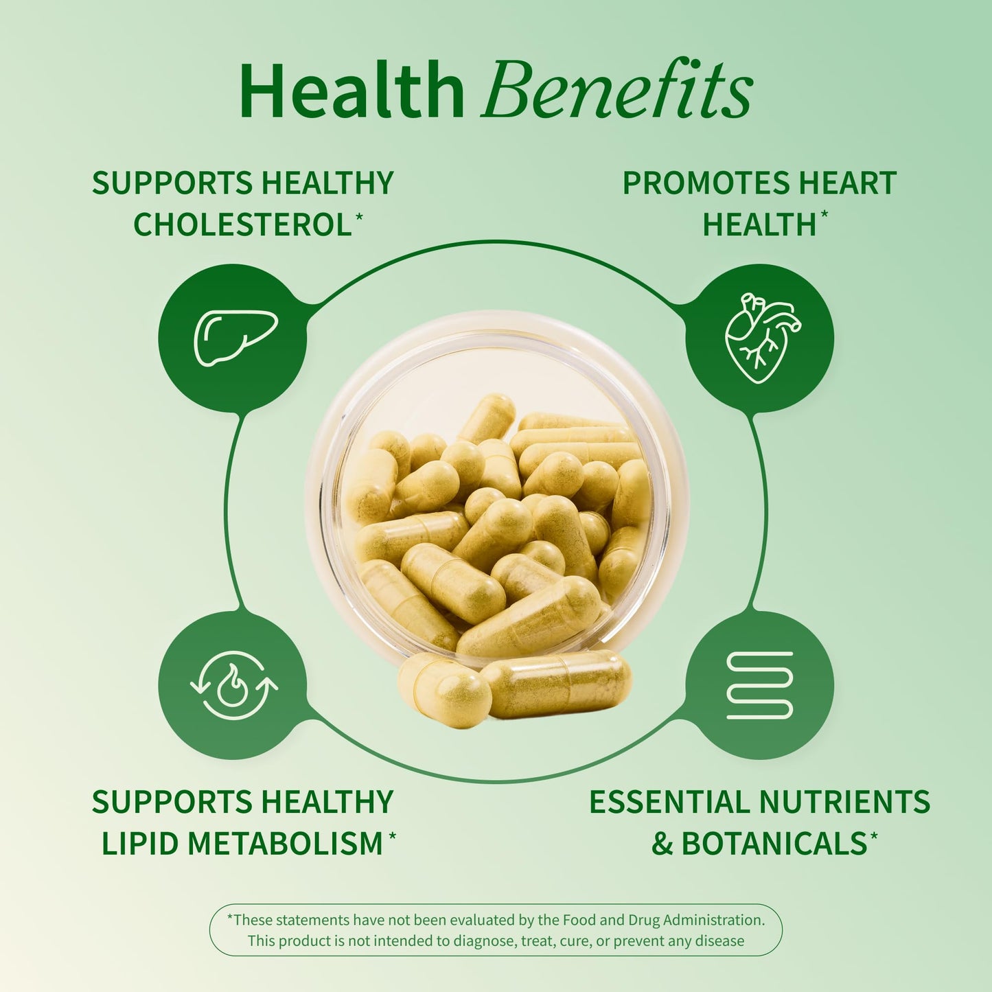 Snap Supplements Cholesterol Health - Natural Support for Heart, Liver, Digestive and Metabolic Health, 60 Vegetarian Capsules (30 Servings, 1 Month Supply)