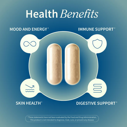 Irish Sea Moss with Bladderwrack & Iodine – Immune & Skin Support