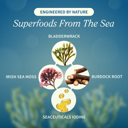 Irish Sea Moss with Bladderwrack & Iodine – Immune & Skin Support