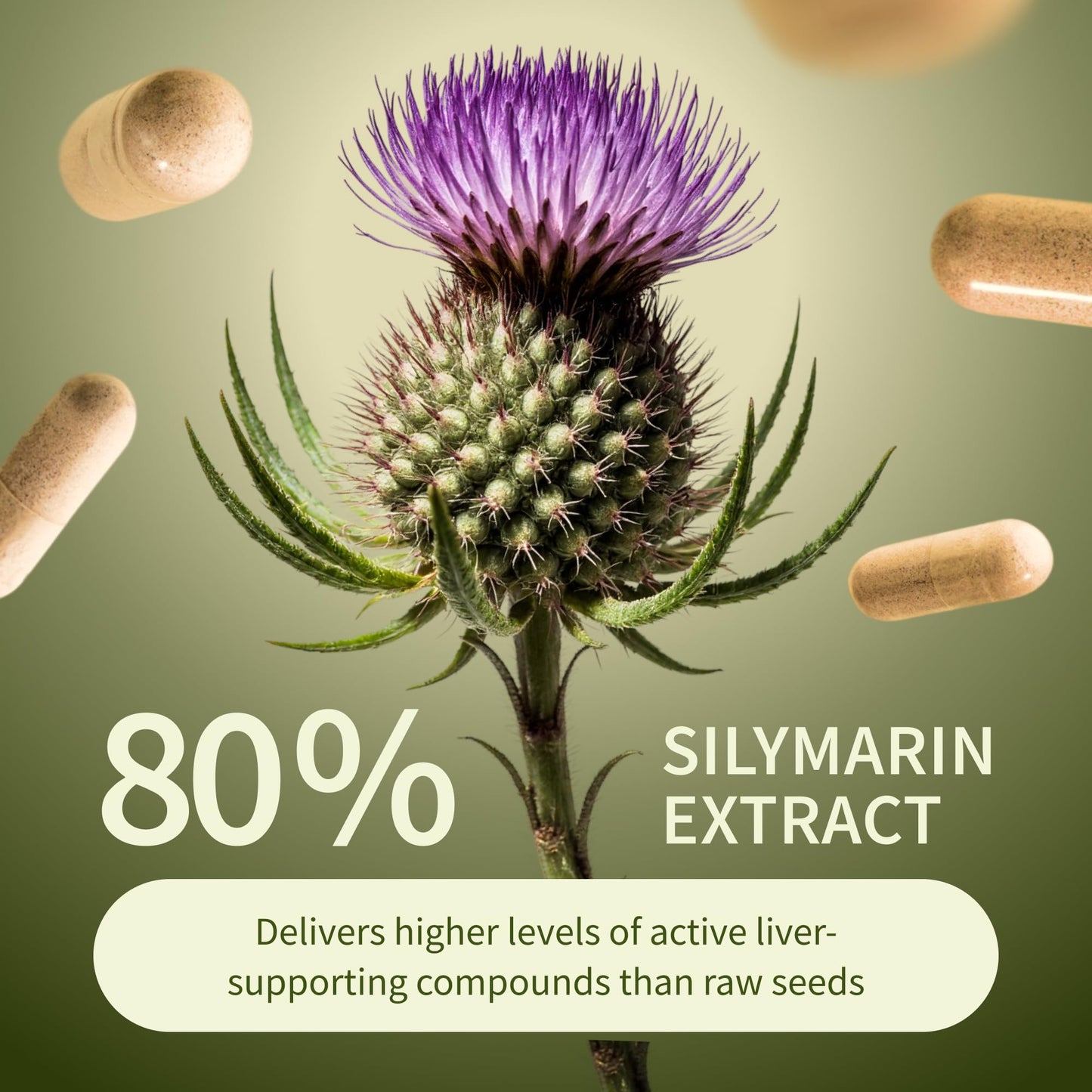 Snap Supplements Liver Health & Detox – 60 Vegetarian Capsules | Liver & Digestive Support