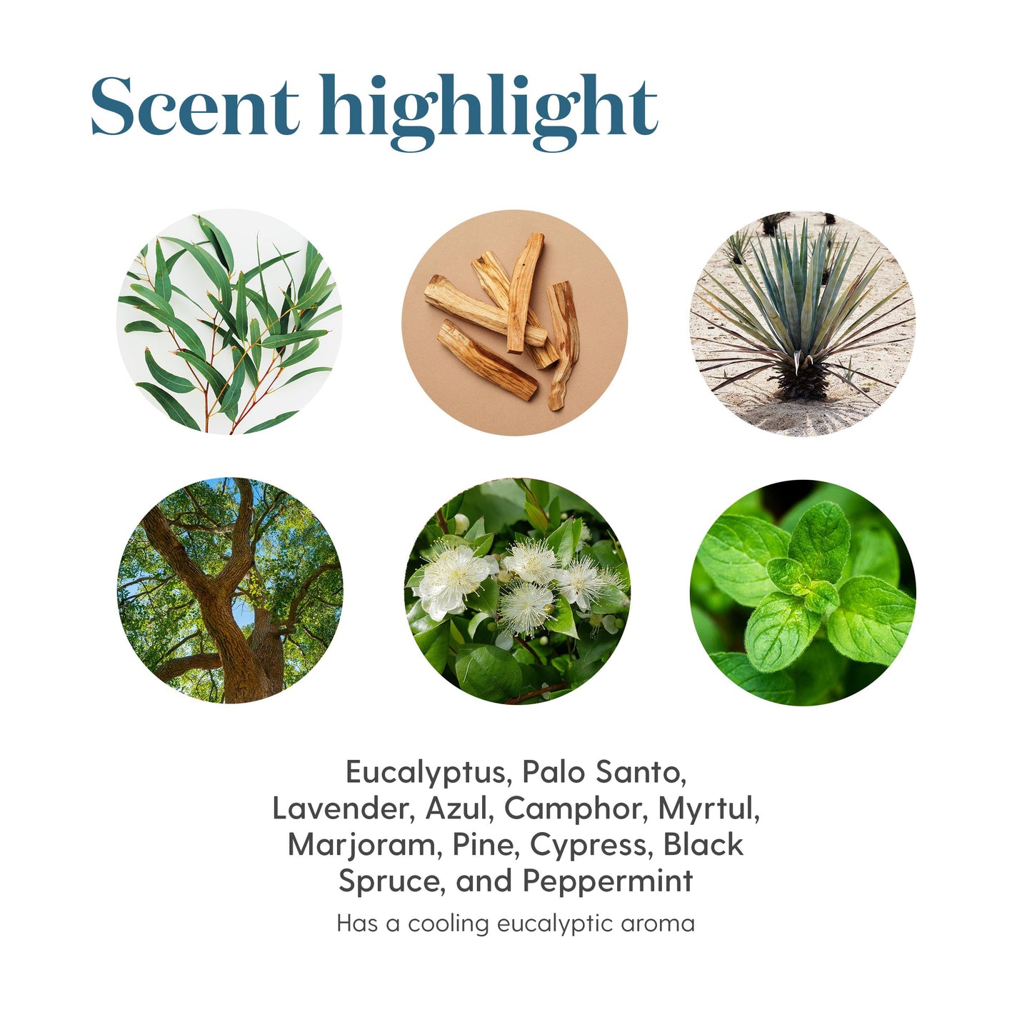 KidScents SniffleEase 5ml – Pre-Diluted Kids Essential Oil (Eucalyptus, Myrtle & Pine)