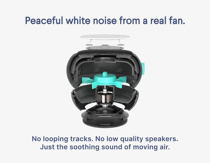 SNOOZ Smart White Noise Machine – Real Fan Inside, Non-Looping Sleep Aid (Charcoal)