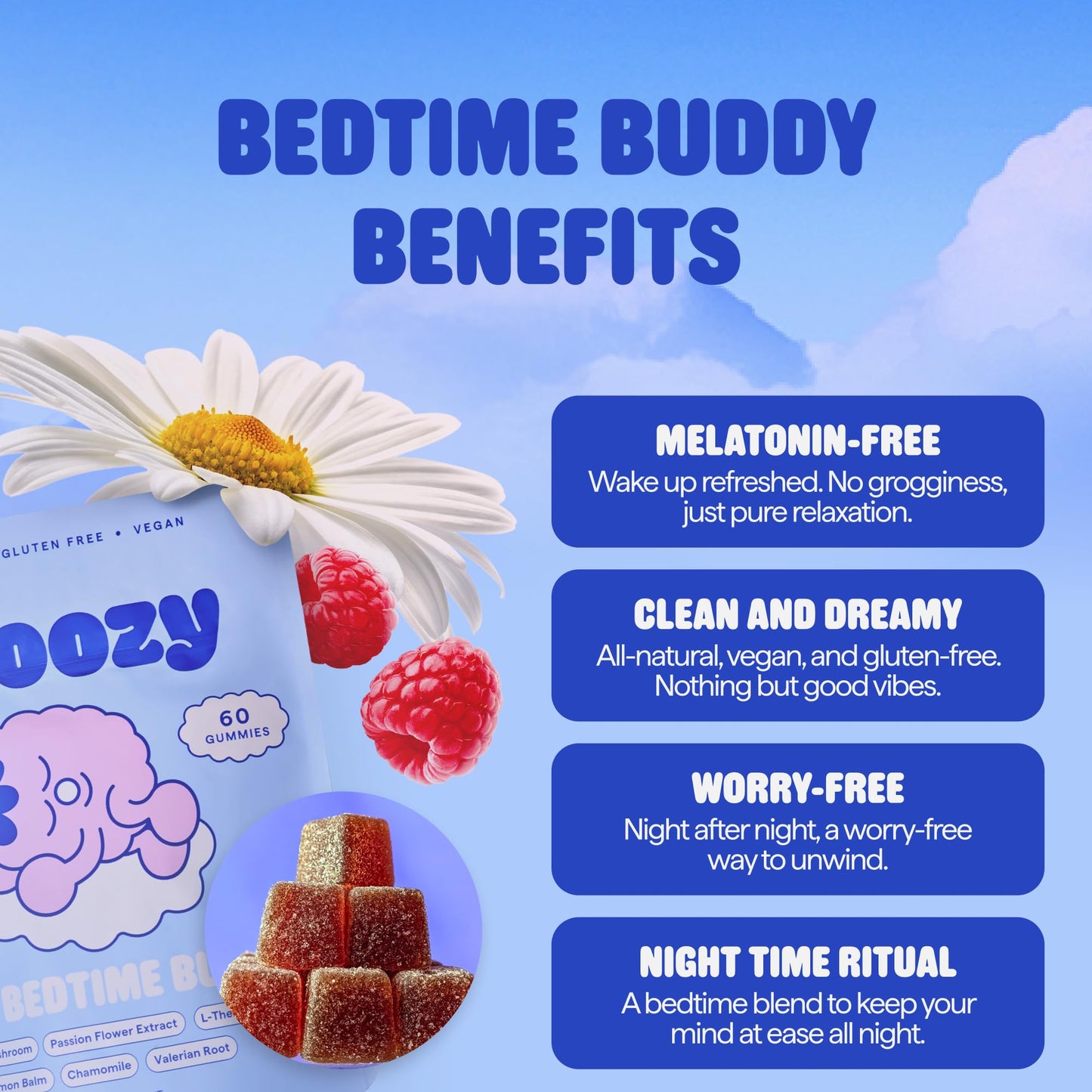 Snoozy Bedtime Buddy: Reishi Sleep Gummies - Melatonin-Free, Raspberry, 60 Gummies
