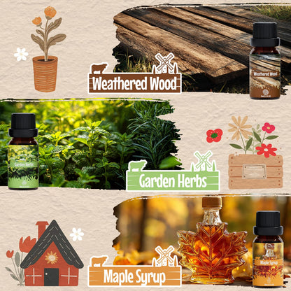 SNOWSEN Farmhouse Diffuser Oil Set – Essential Oils for Diffusers, 6x10ml