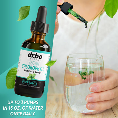 Chlorophyll Liquid Drops – Body Detox, Odor Cleanse & Immune Support | Vegan 2 oz