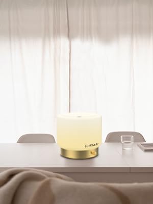 SOICARE Glass Diffuser with Gold Base – 280ML, Dimmable, Auto Shut-Off