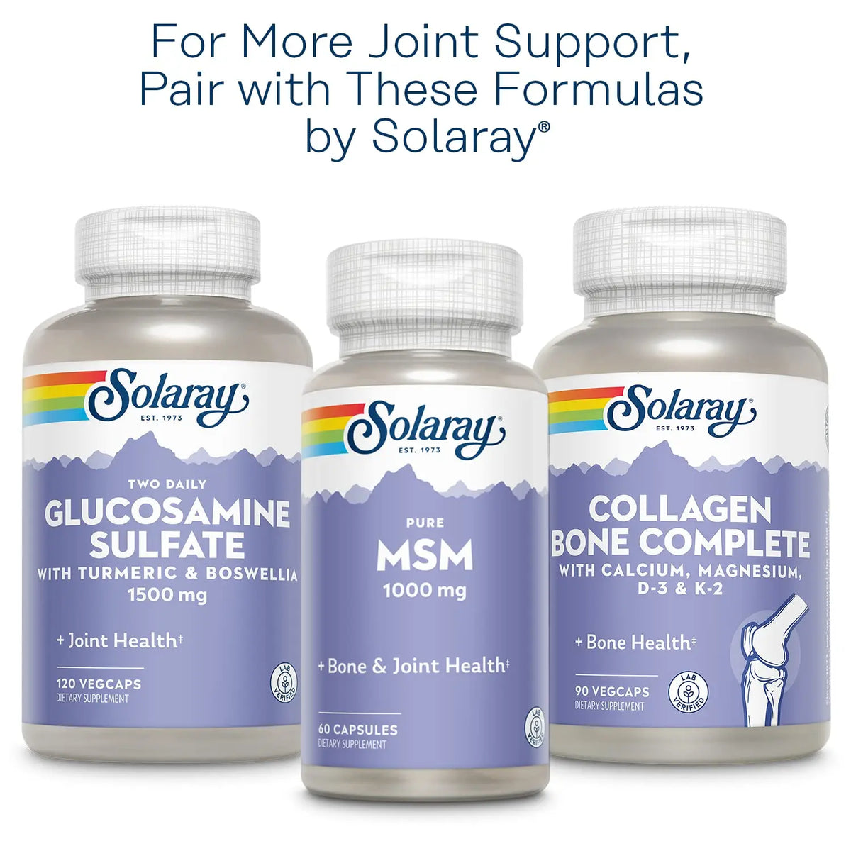 SOLARAY Glucosamine Chondroitin Hyaluronic Acid 1500/1000/20mg – 90 Capsules BritishVita | Premium UK Vitamins & Wellness Supplements