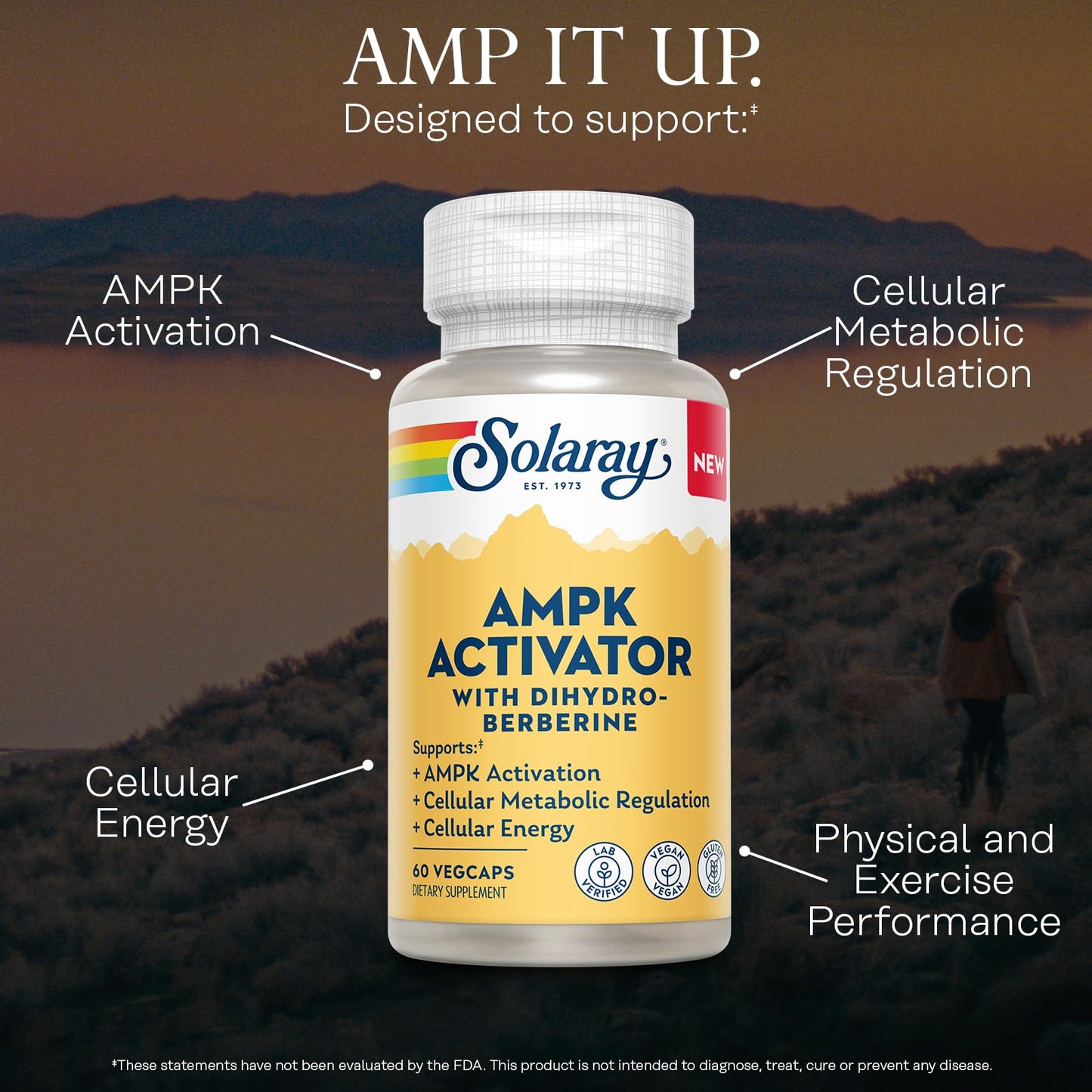 Solaray AMPK Activator Plus Dihydroberberine – Clinically Backed Ingredient – Advanced Berberine Supplement – Cellular Energy and Metabolism Support – 60-Day Guarantee – 60 VegCaps