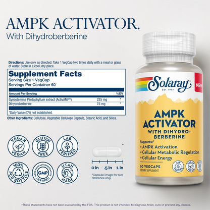 Solaray AMPK Activator Plus Dihydroberberine – Clinically Backed Ingredient – Advanced Berberine Supplement – Cellular Energy and Metabolism Support – 60-Day Guarantee – 60 VegCaps