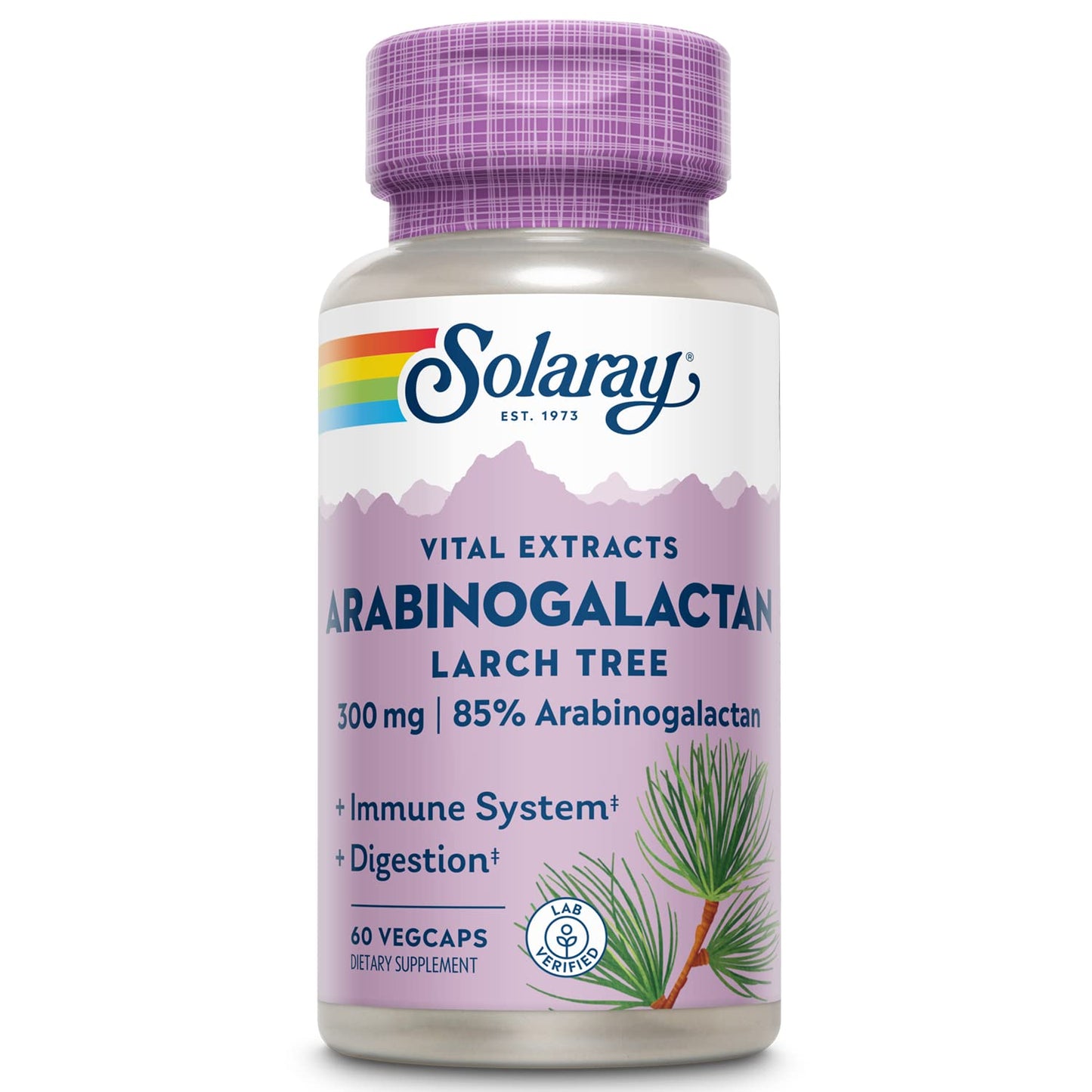 SOLARAY Arabinogalactan 300mg | Larch Tree Prebiotic Fiber | 60 VegCaps
