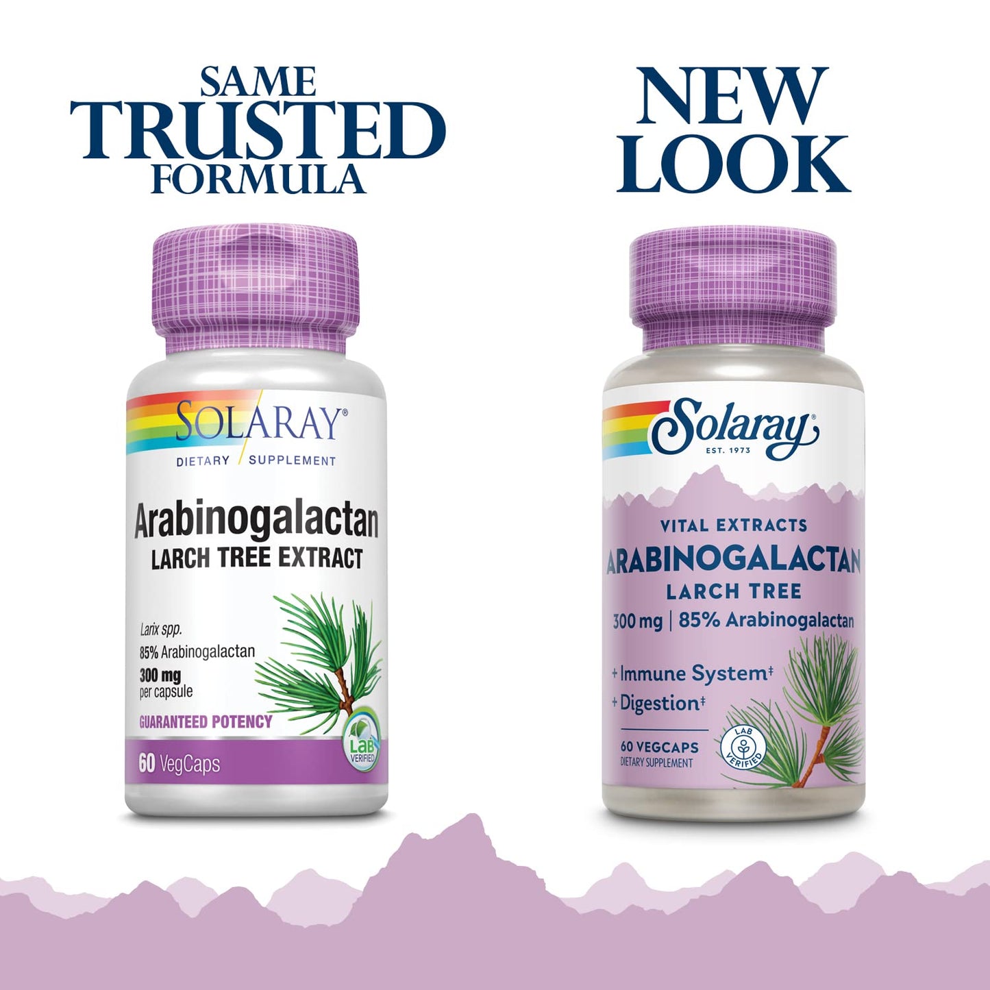 SOLARAY Arabinogalactan 300mg | Larch Tree Prebiotic Fiber | 60 VegCaps