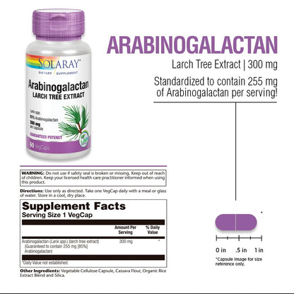 SOLARAY Arabinogalactan 300mg | Larch Tree Prebiotic Fiber | 60 VegCaps