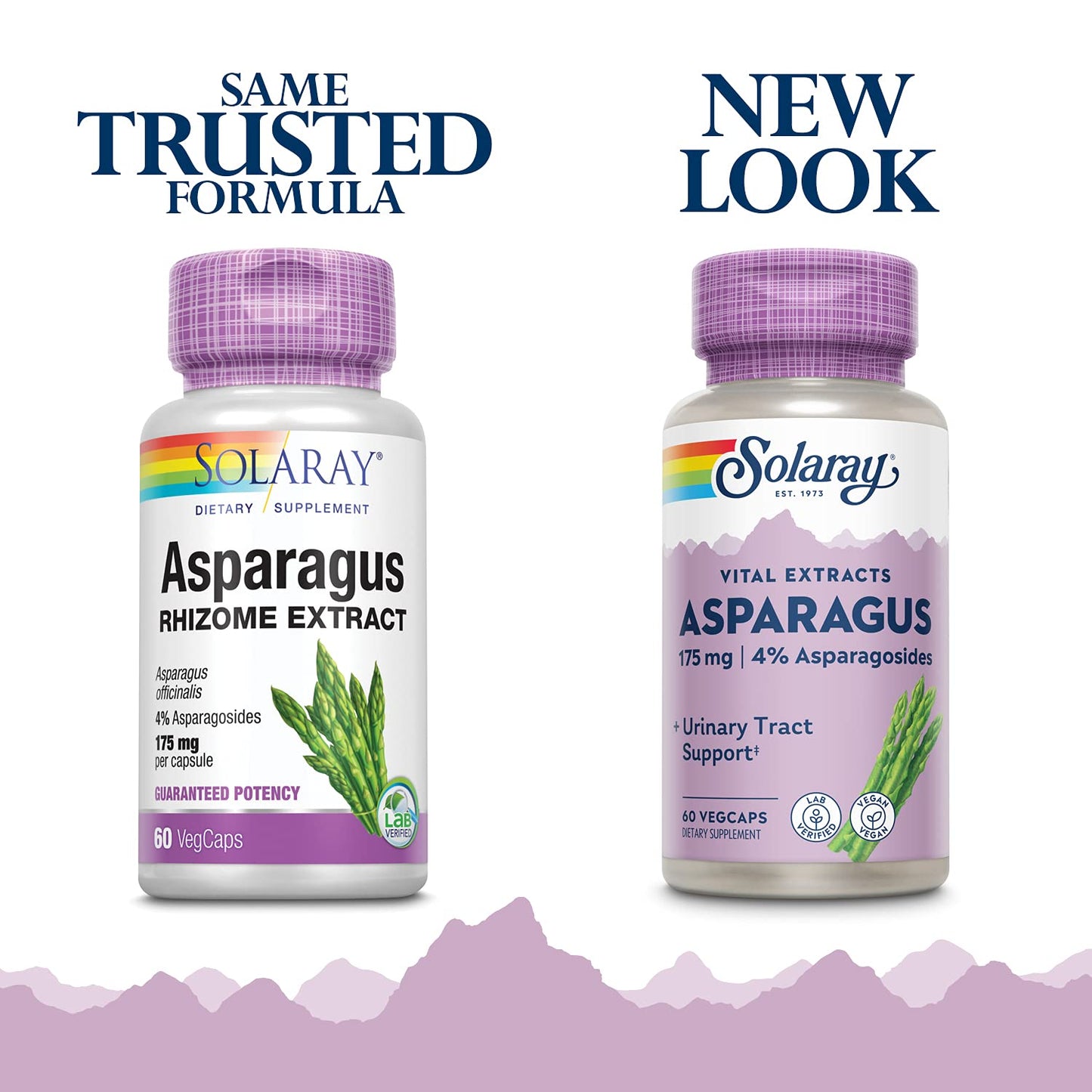 SOLARAY Asparagus Rhizome Extract 175 mg w/ Whole Root | Urinary Tract & Digestive Health Support | 60 VegCaps