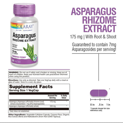 SOLARAY Asparagus Rhizome Extract 175 mg w/ Whole Root | Urinary Tract & Digestive Health Support | 60 VegCaps