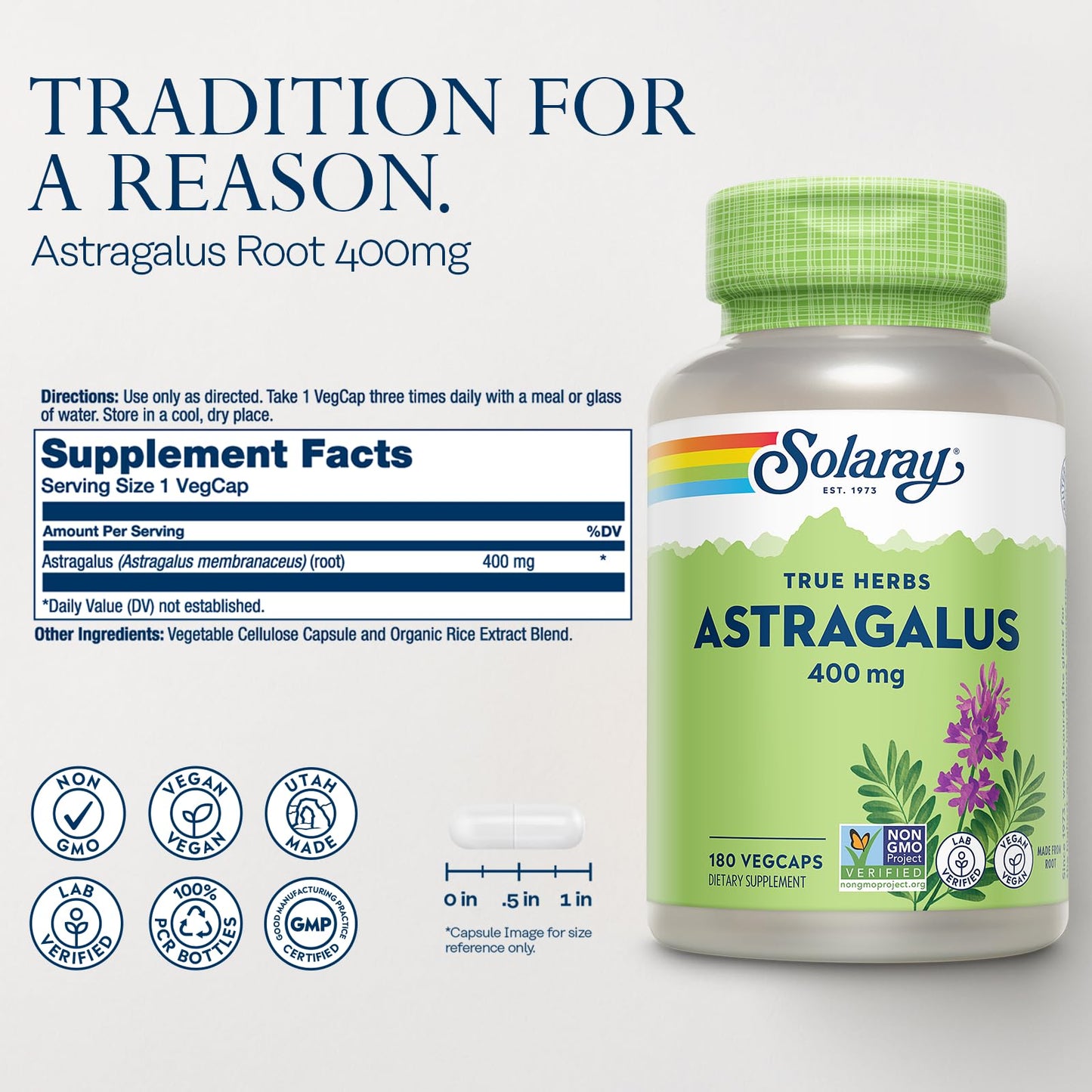 SOLARAY Astragalus Root 400mg – Traditional Herbal Support – 180 VegCaps | Non-GMO & Vegan