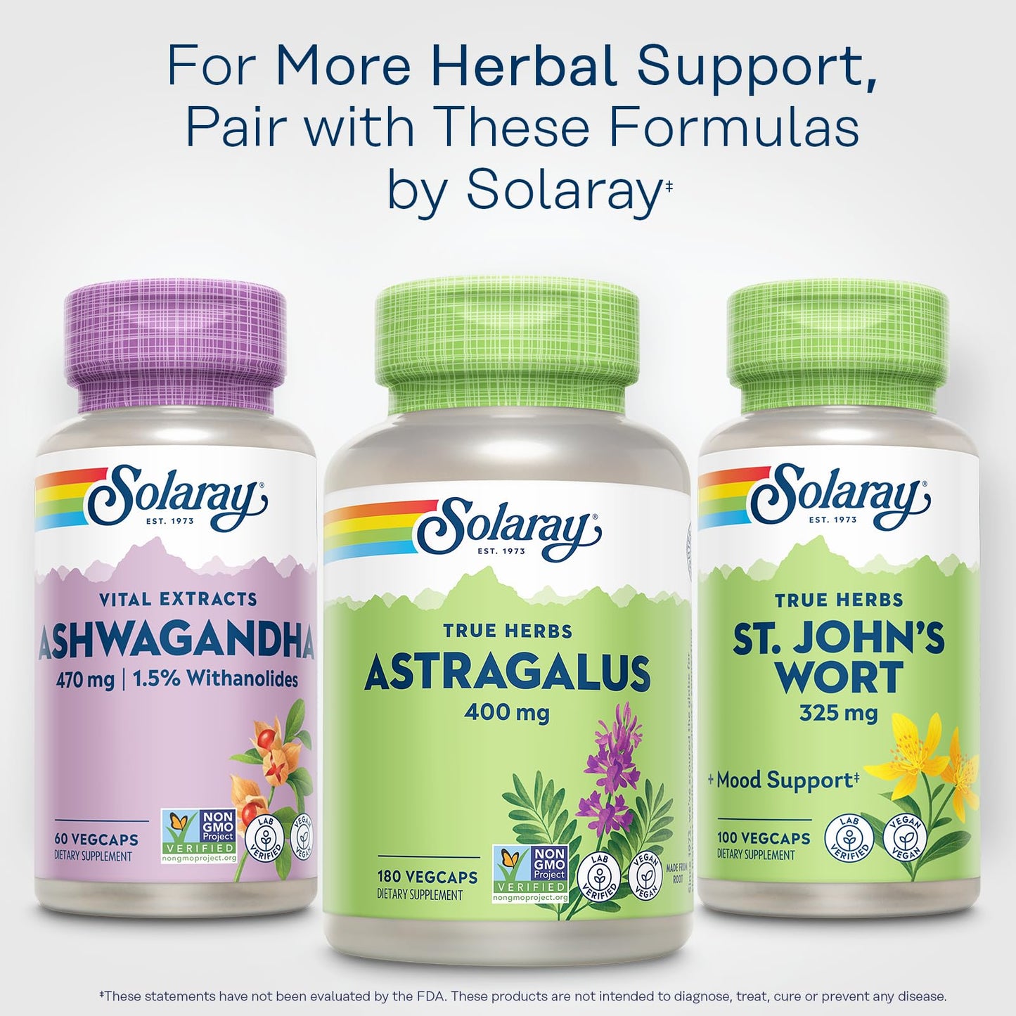 SOLARAY Astragalus Root 400mg – Traditional Herbal Support – 180 VegCaps | Non-GMO & Vegan
